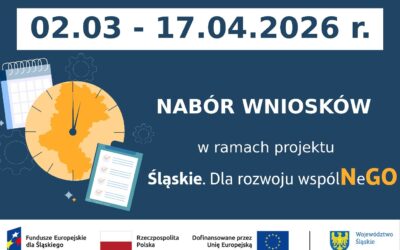 Nabór wniosków w&nbsp;projekcie grantowym „Śląskie. Dla rozwoju wspólNeGO”